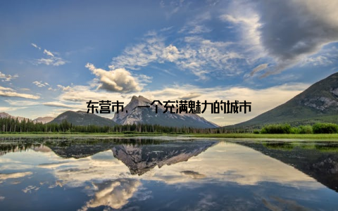 东营市, 一个充满魅力的城市