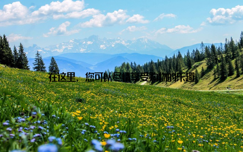 在这里, 您可以尽情享受购物的乐趣