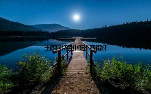 玉树的特色小吃不容错过