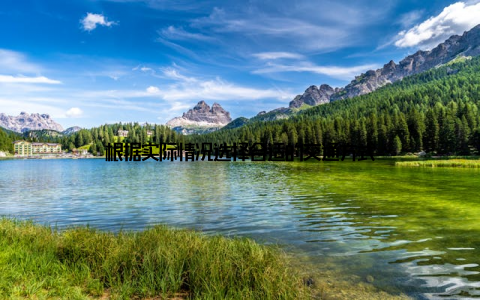 根据实际情况选择合适的交通方式