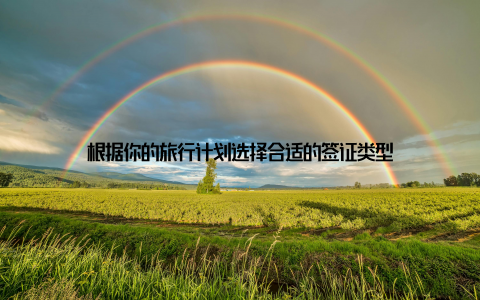 根据你的旅行计划选择合适的签证类型