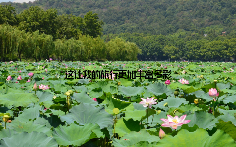 这让我的旅行更加丰富多彩