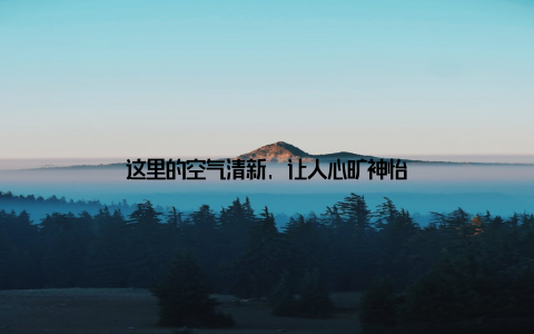 这里的空气清新, 让人心旷神怡