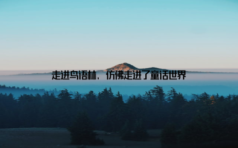 走进鸟语林, 仿佛走进了童话世界