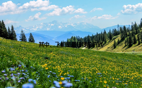 其中, 飞机是最快捷的方式