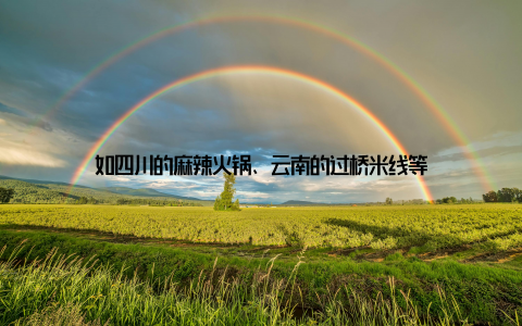 如四川的麻辣火锅、云南的过桥米线等