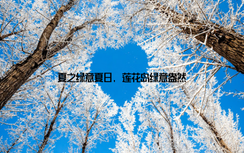 夏之绿意夏日, 莲花岛绿意盎然