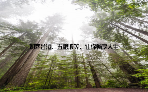 如茅台酒、五粮液等, 让你畅享人生