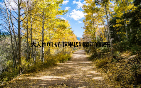 大人也可以在这里找到童年的快乐