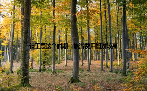 但正是这个时期, 旅游费用相对较高