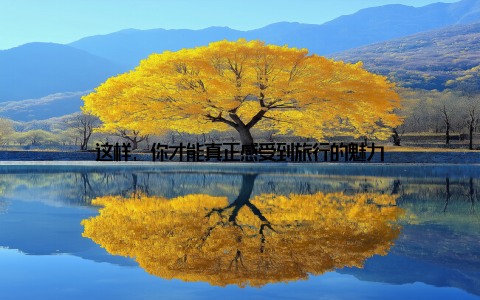 这样, 你才能真正感受到旅行的魅力