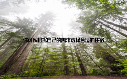 你可以根据自己的需求选择合适的住宿