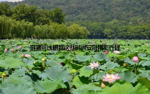 游客可以根据这些时间安排摄影行程