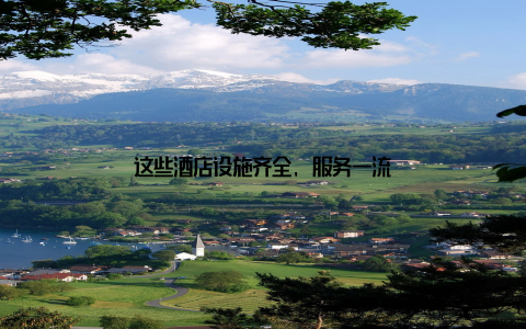 这些酒店设施齐全, 服务一流