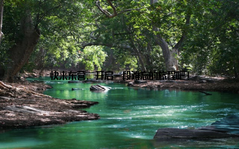 快来东营, 开启一段难忘的旅程吧!