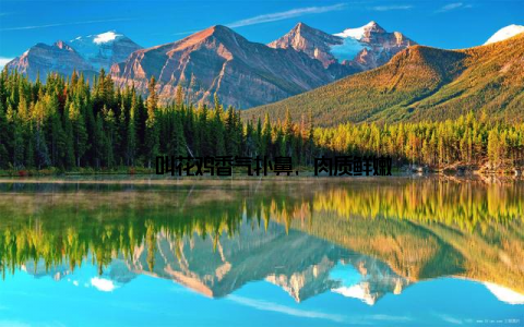 – 叫花鸡香气扑鼻, 肉质鲜嫩